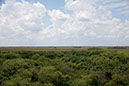 103_Everglades
